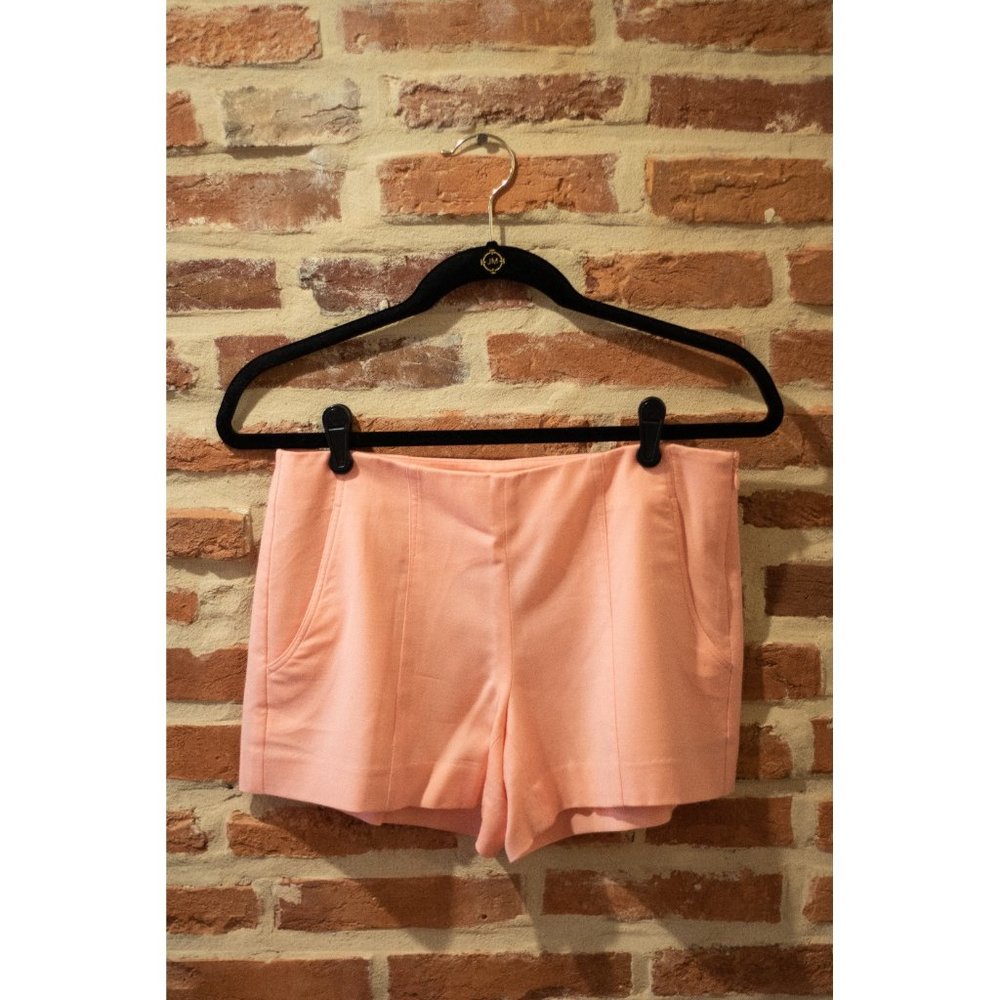 Theory Shorts in Pink